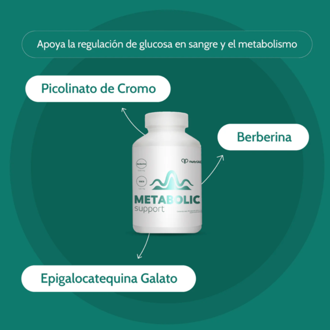 Metabolic Support: Equilibrio Metabólico y Control de Glucosa - Imagen 2