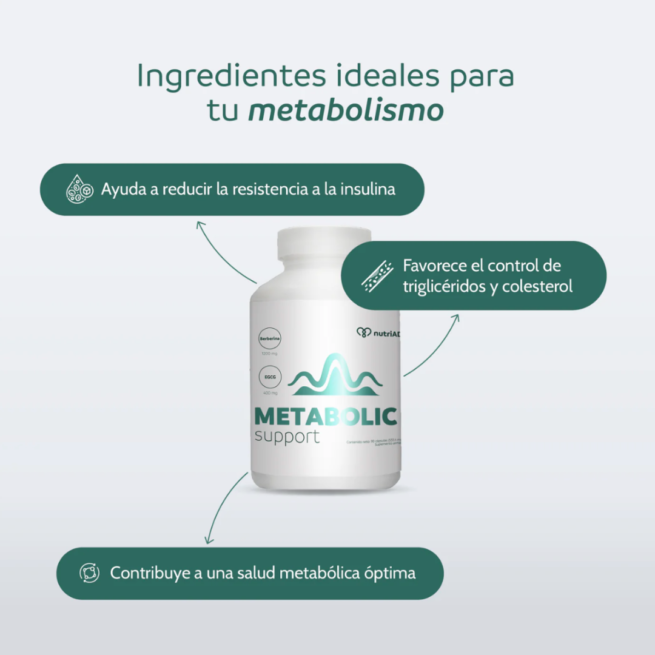 Metabolic Support: Equilibrio Metabólico y Control de Glucosa - Imagen 3