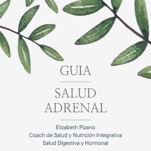 Mini Guía Fatiga Adrenal